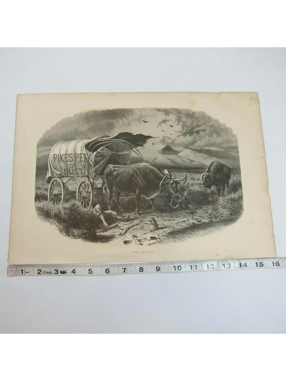 Antique 1873 Engraving Print Pikes Peak or BUST! W.M. Cary Wagon Indian Attack